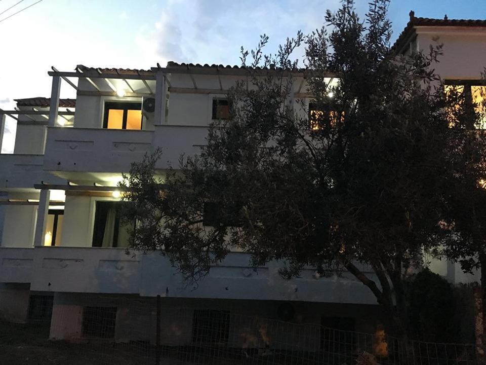 Chalkiotis Hotel Anaxos Extérieur photo